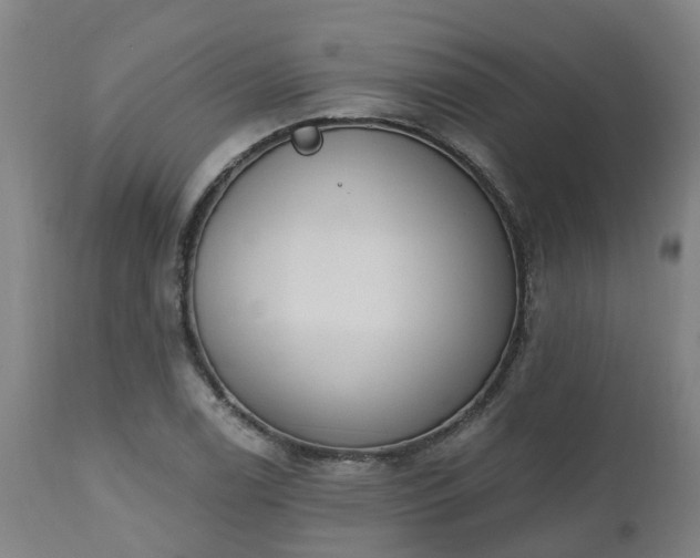 X0000112501122200908241343