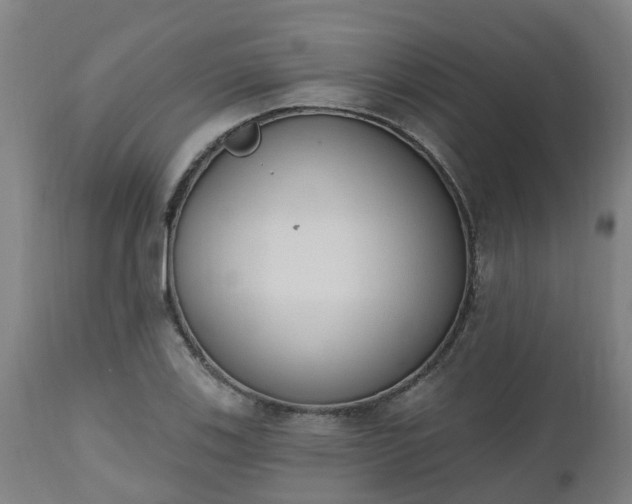 X0000112501123200908241343