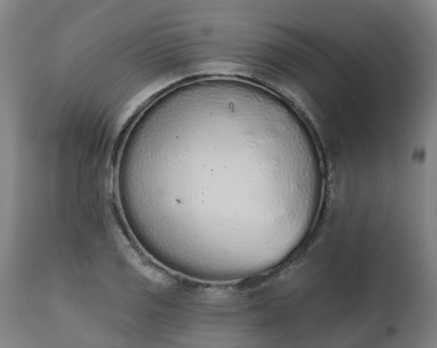 X0000112501125200908241343