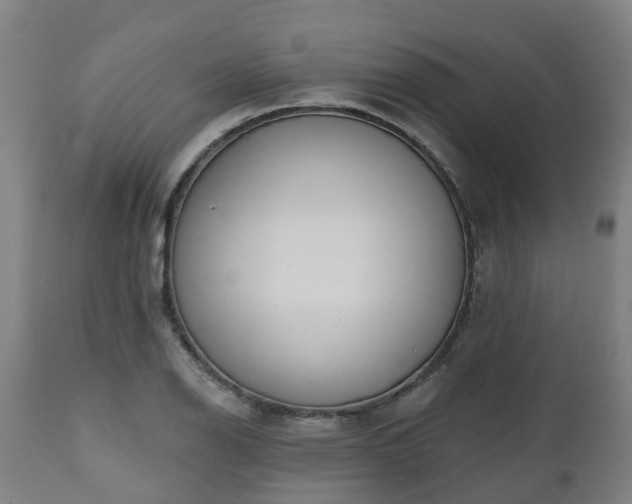 X0000112501126200908241343