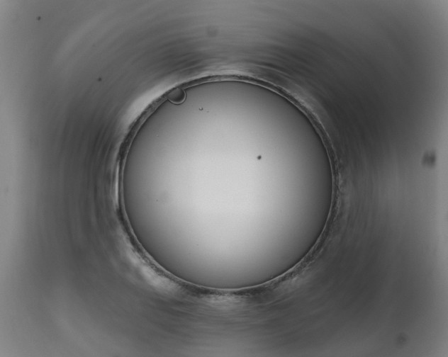 X0000112501127200908241343