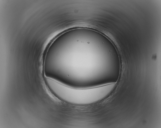 X0000112501128200908241343