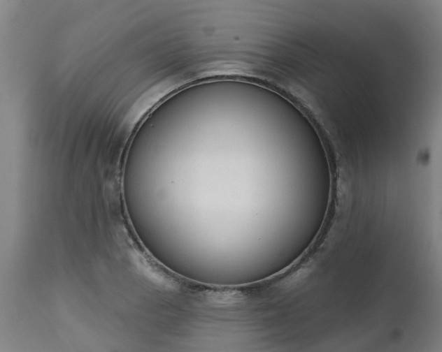 X0000112501129200908241343