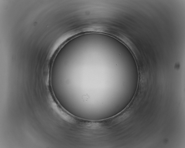 X0000112501131200908241343