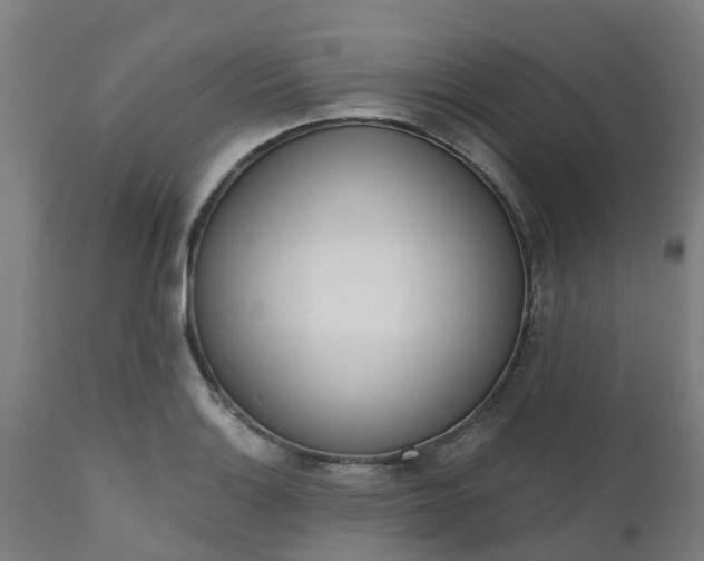 X0000112501132200908241343