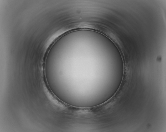 X0000112501133200908241343