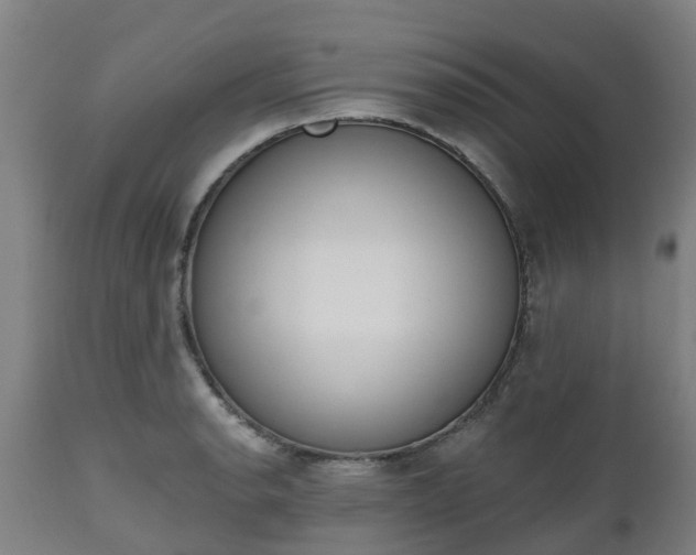 X0000112501134200908241343