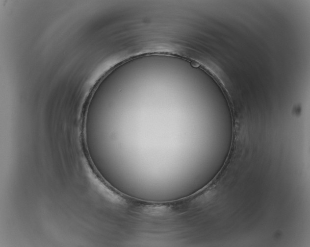 X0000112501135200908241343