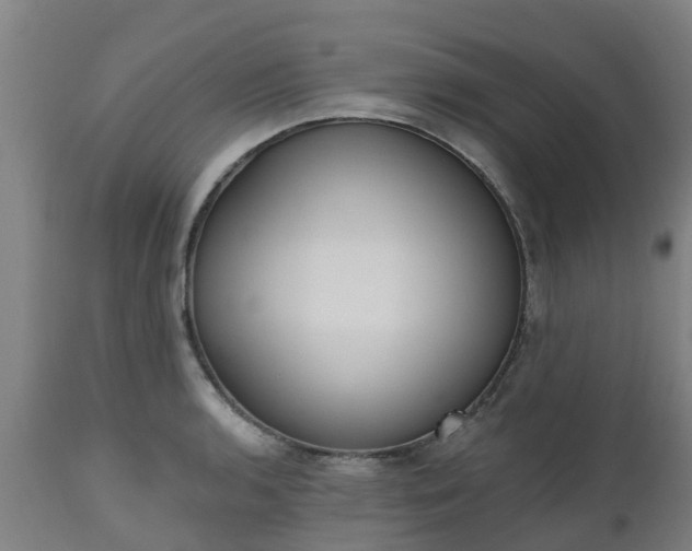 X0000112501136200908241343