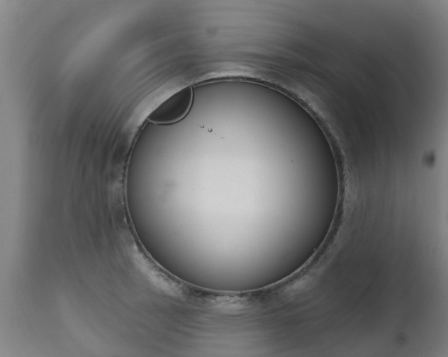 X0000112501137200908241343