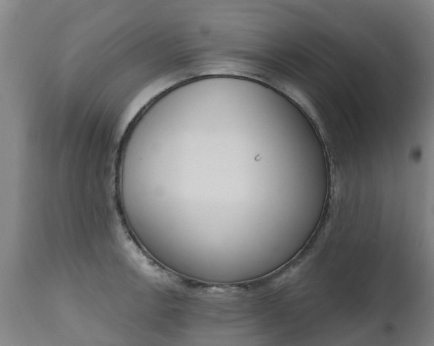 X0000112501138200908241343