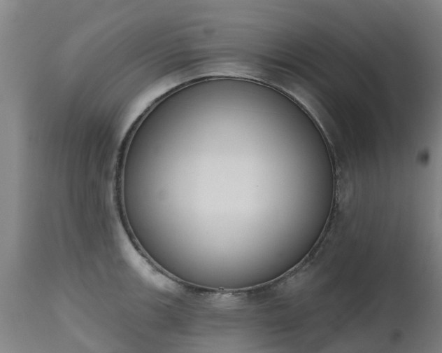 X0000112501139200908241343