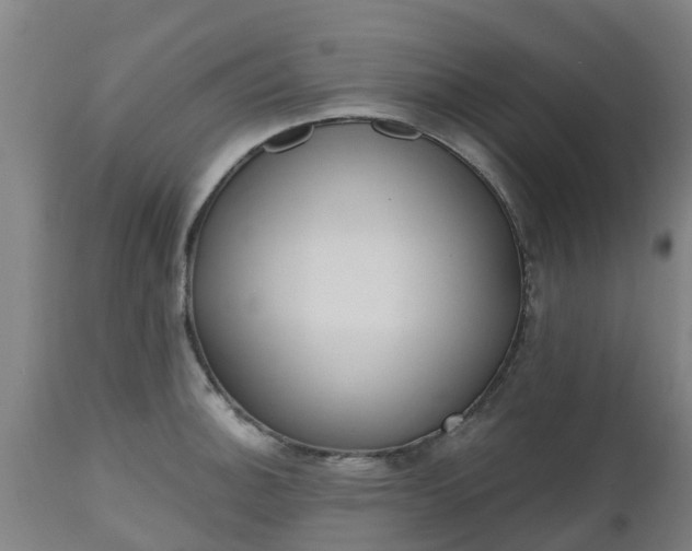 X0000112501140200908241343