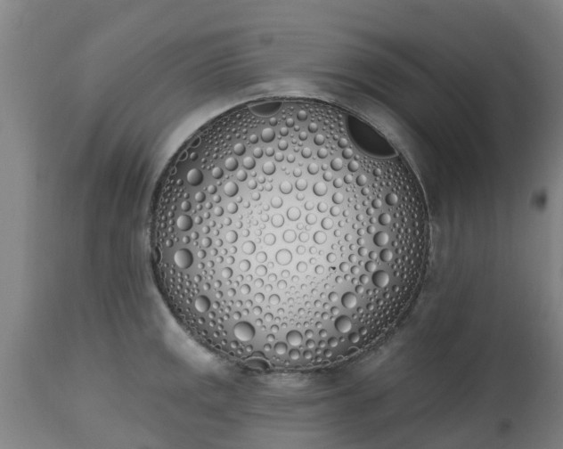 X0000112501141200908241343