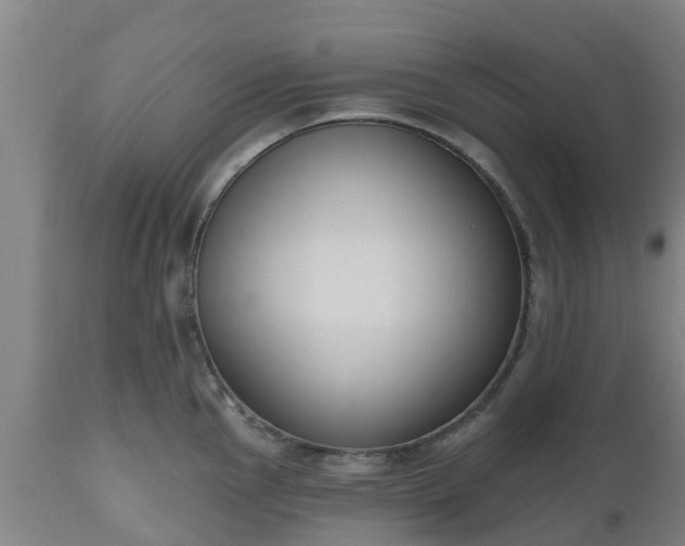 X0000112501145200908241343