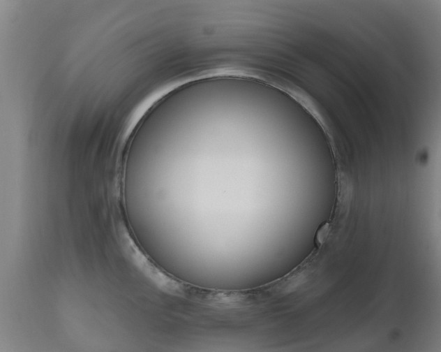 X0000112501148200908241343