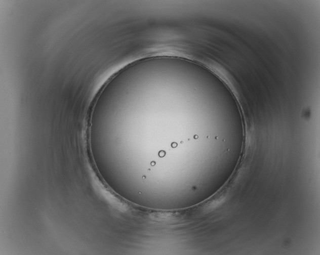 X0000112501149200908241343