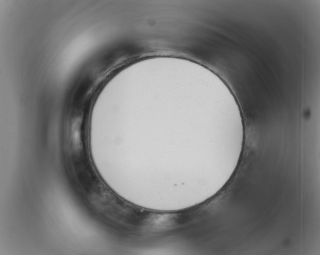 X0000112501150200908241343