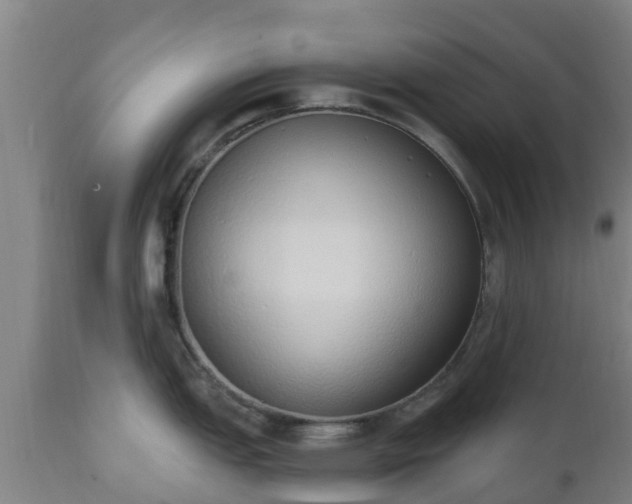 X0000112501151200908241343