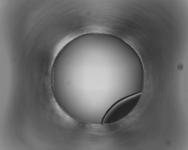 X0000112501152200908241343