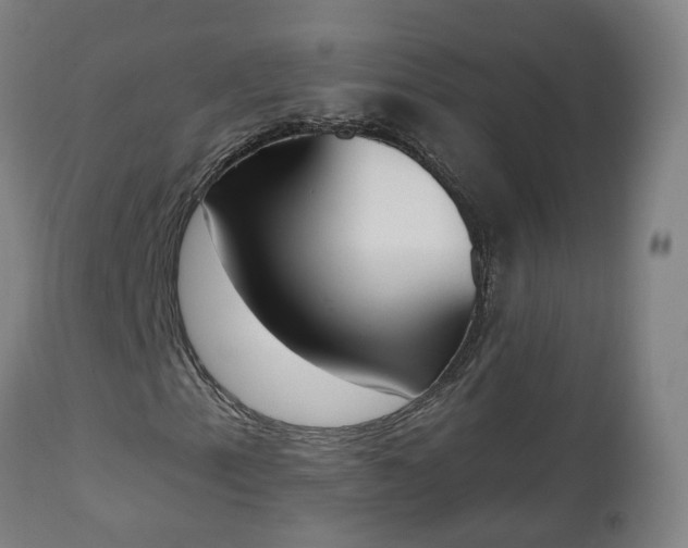 X0000112501153200908241343