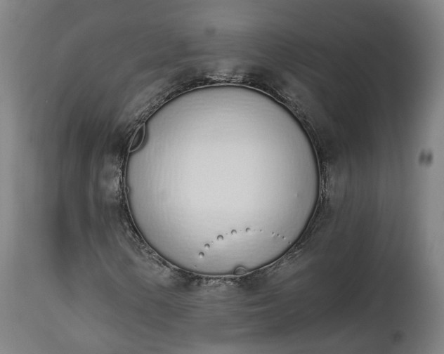 X0000112501154200908241343