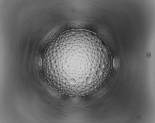 X0000112501155200908241343