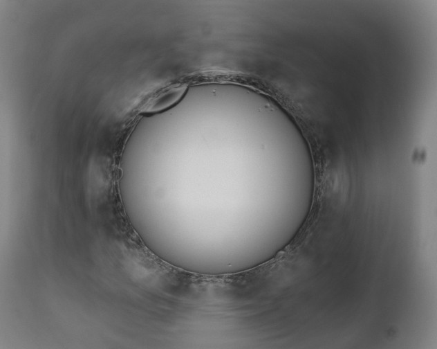 X0000112501157200908241343