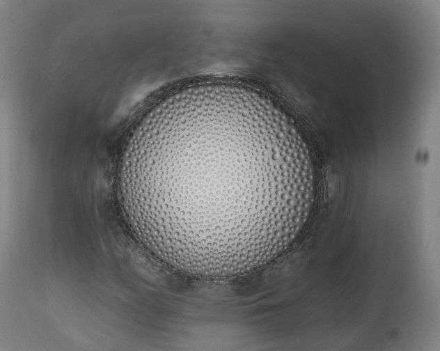 X0000112501158200908241343