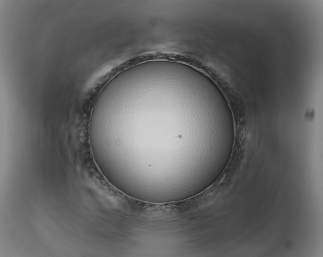 X0000112501159200908241343