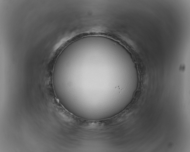 X0000112501160200908241343