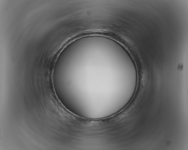 X0000112501161200908241343