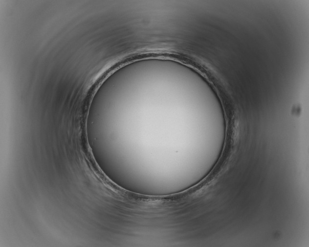 X0000112501162200908241342