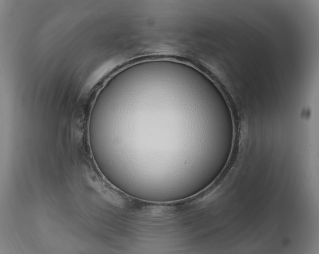 X0000112501163200908241342