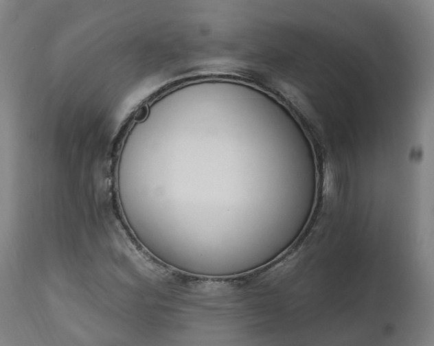 X0000112501164200908241342