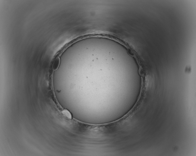 X0000112501165200908241342