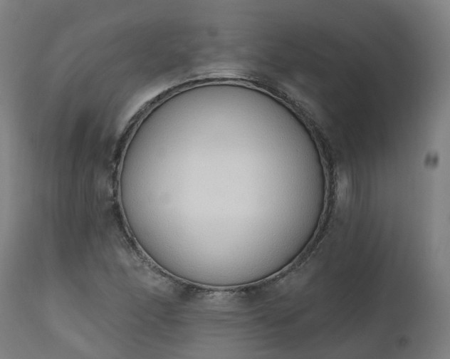 X0000112501166200908241342