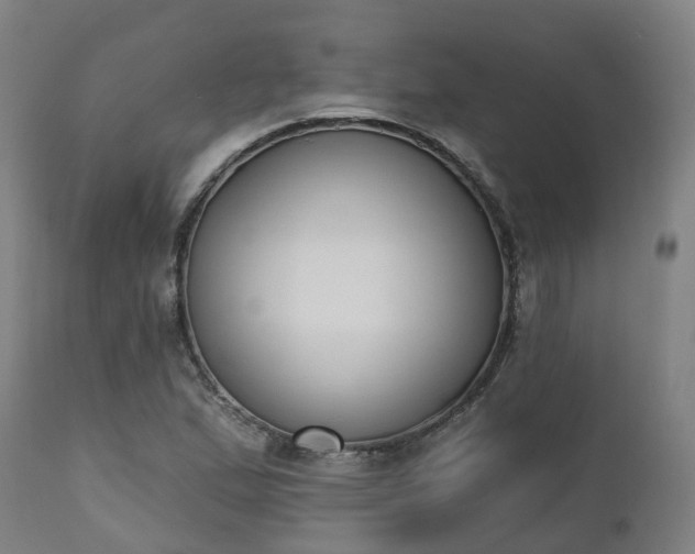 X0000112501167200908241342