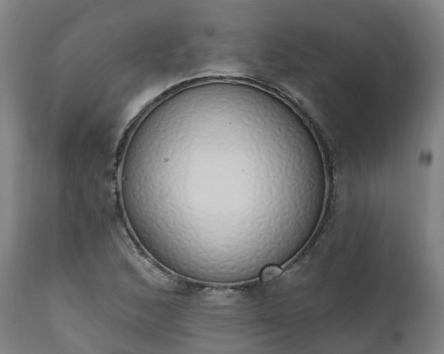 X0000112501168200908241342