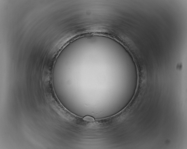 X0000112501169200908241342