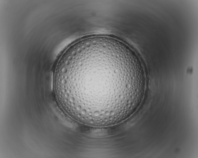 X0000112501171200908241342