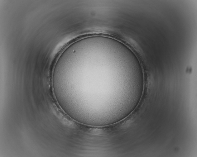 X0000112501172200908241342