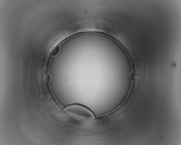 X0000112501173200908241342