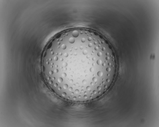 X0000112501174200908241342