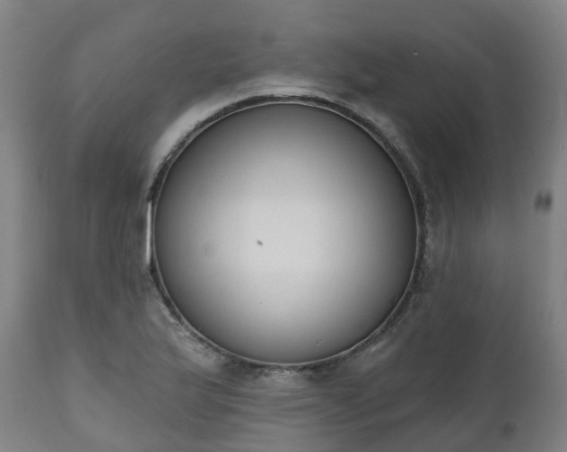 X0000112501175200908241342