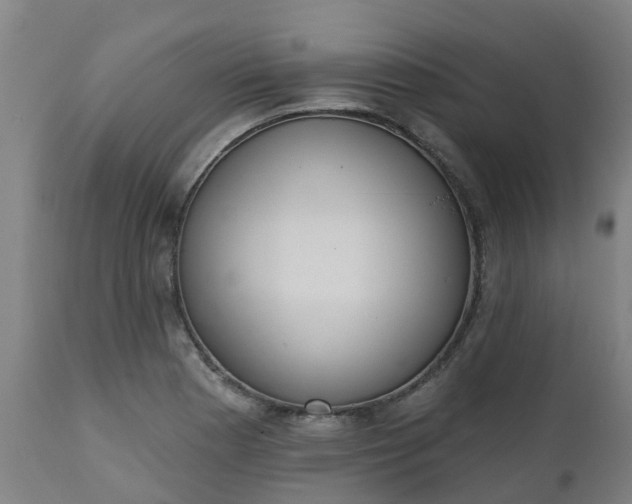 X0000112501177200908241342