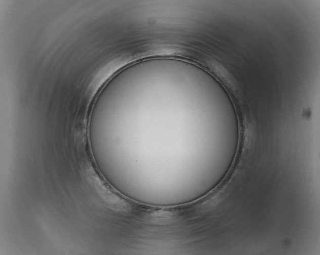 X0000112501178200908241342