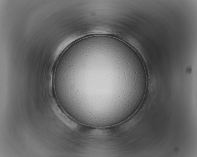 X0000112501179200908241342