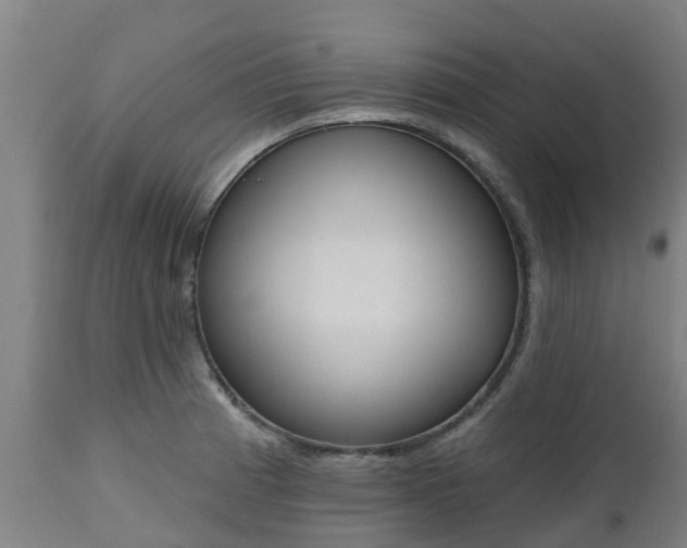 X0000112501185200908241342