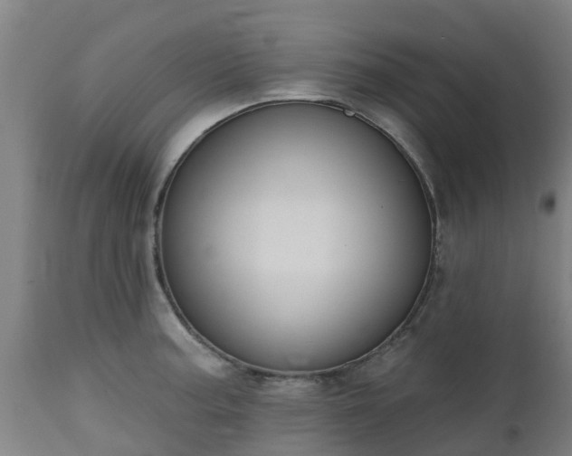 X0000112501187200908241342